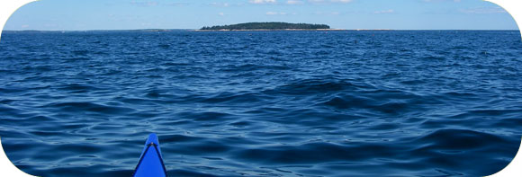 Midcoast Kayak Tours