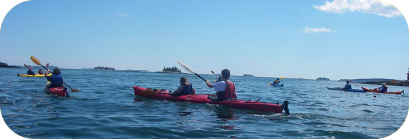Midcoast Kayak Tours