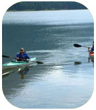 Midcoast Kayay Tours