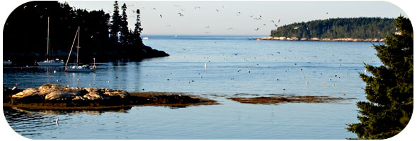 Christmas Cove, South Bristol Maine