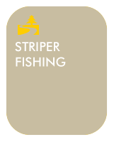 Midcoast Kayak - Striper Fishing